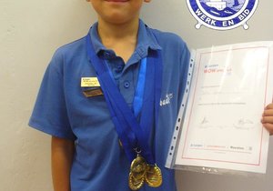 Nasionale WOW Spelfees